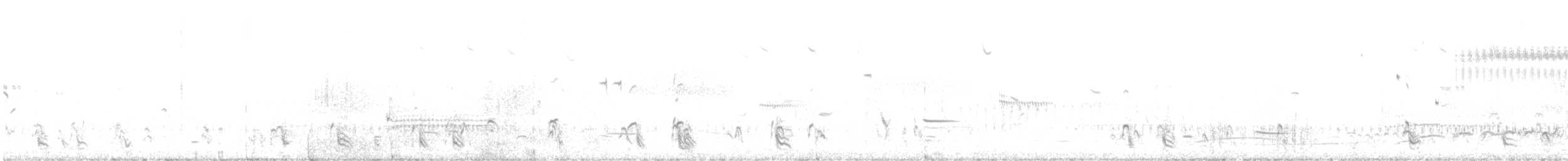 Gallo de las Praderas Rabudo - ML564418491