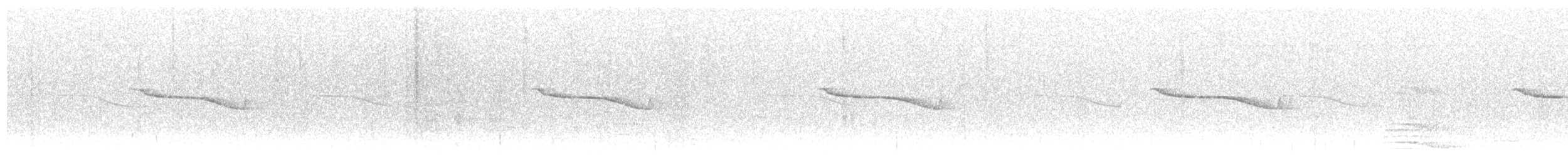 Breitspiegel-Nachtschwalbe - ML564421801