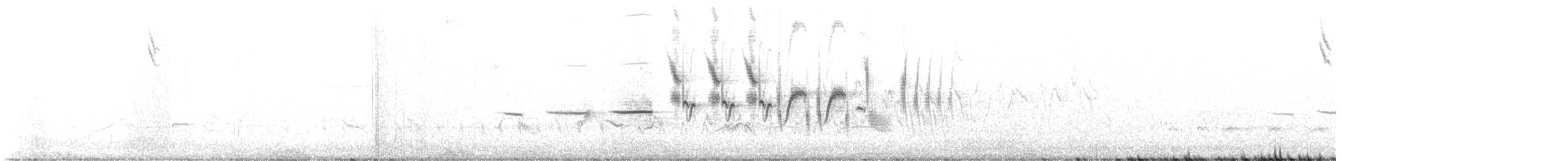 オジロヒメドリ - ML564423661