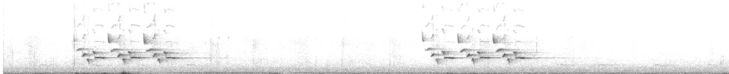 Carolina Wren - ML564425571