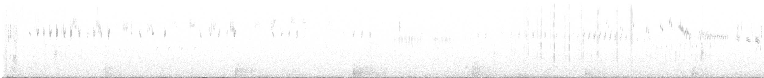 ブリューワーヒメドリ - ML564503871