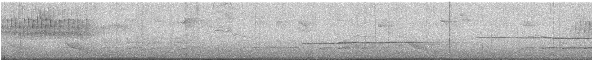 Paruline vermivore - ML564552491