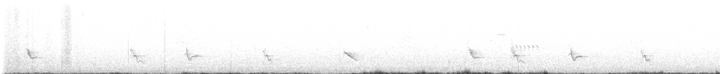 Gray Vireo - ML564554451