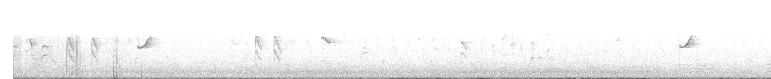 Нектарка малахітова - ML564555281