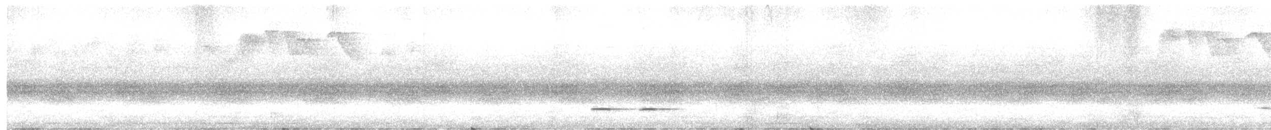 Rostbrust-Ameisendrossel - ML564599131