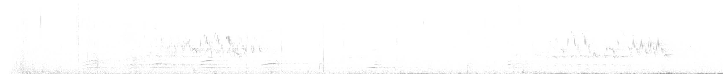 Weißbrustkleiber (aculeata/alexandrae) - ML564604711