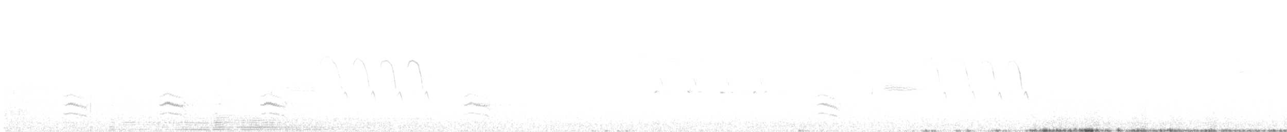 Weißbrustkleiber (aculeata/alexandrae) - ML564612301
