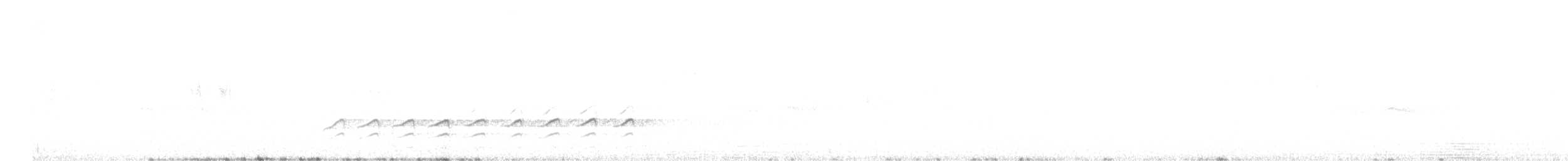 Weißbrustkleiber (aculeata/alexandrae) - ML564615991