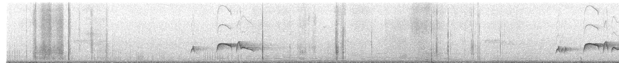 Olive-sided Flycatcher - ML564631851