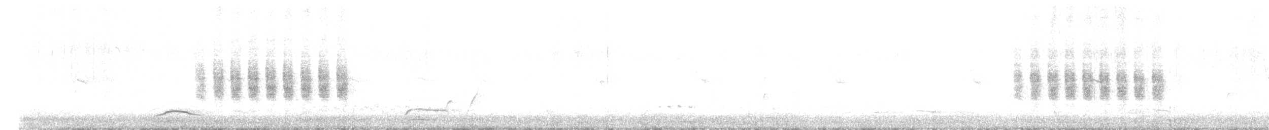 Black-tailed Gnatcatcher - ML564649261