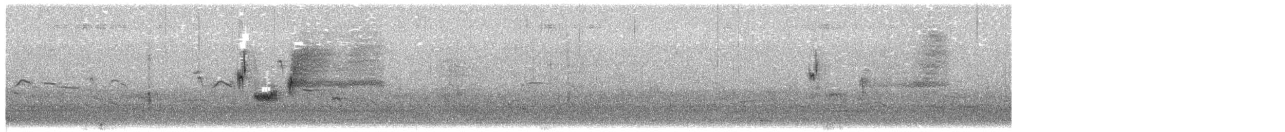 Приморская овсянка-барсучок (maritima/macgillivraii) - ML564738771