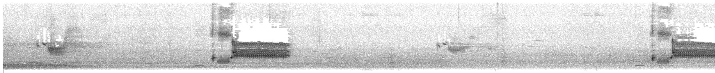 Приморская овсянка-барсучок (maritima/macgillivraii) - ML564738931