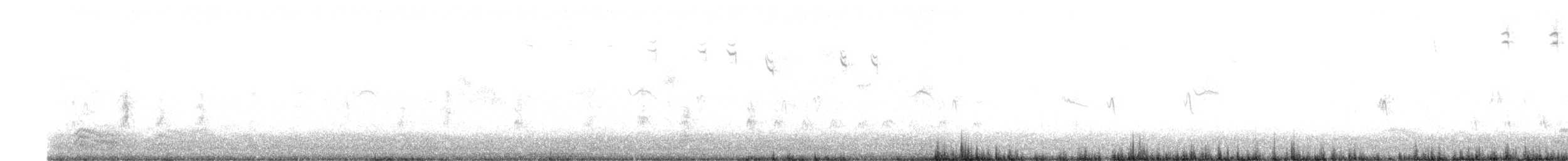 Savannah Serçesi [guttatus grubu] - ML564748541