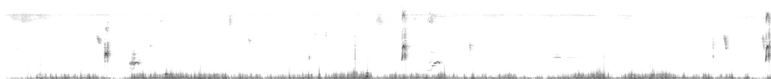 Морщинистоклювая ани - ML56476421