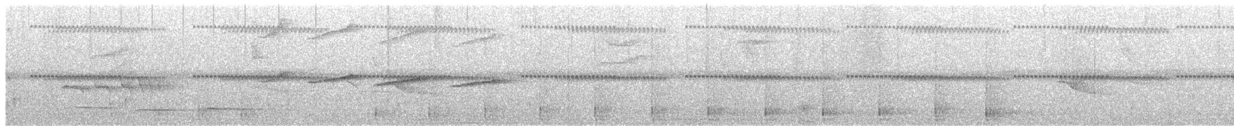 Sclérure obscur (andinus) - ML564781261