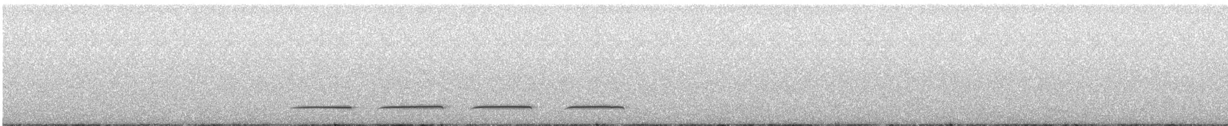 New Zealand Falcon - ML564797821