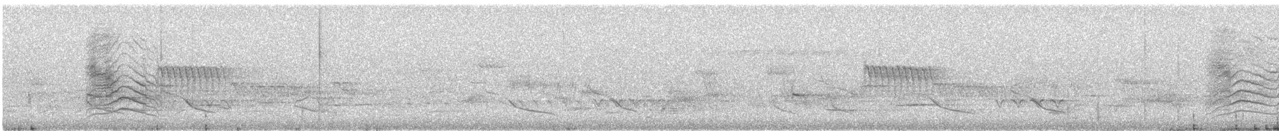 Gray Catbird - ML564798711