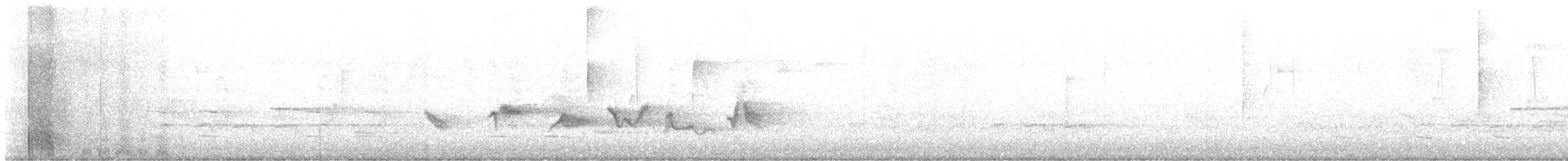 Чернокрылая пиранга - ML564812491
