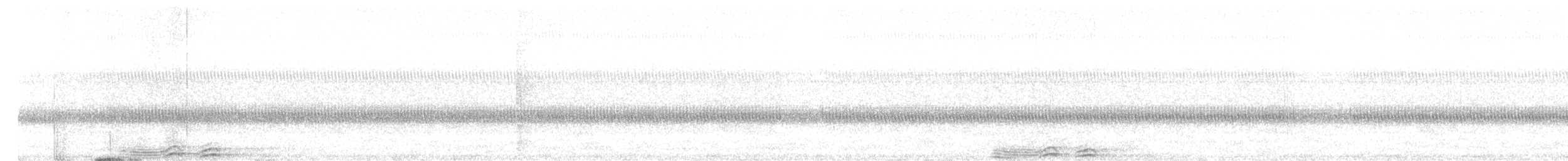 sovka štěkavá - ML564820101