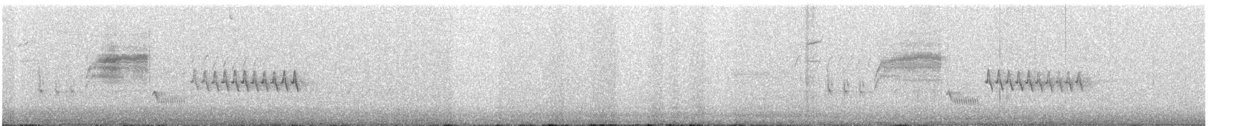 Bewick's Wren - ML564851171