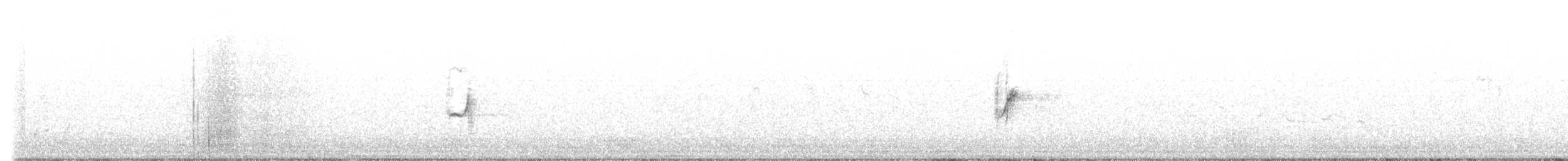 Western Yellow Wagtail (flava) - ML564868551