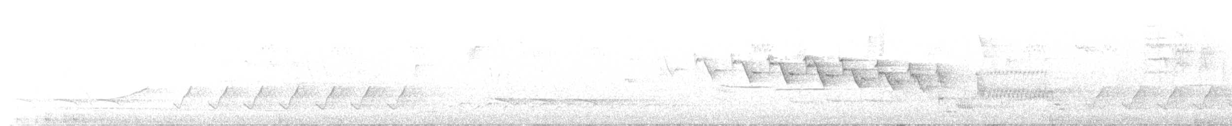 Yellow-throated Warbler - ML564876371
