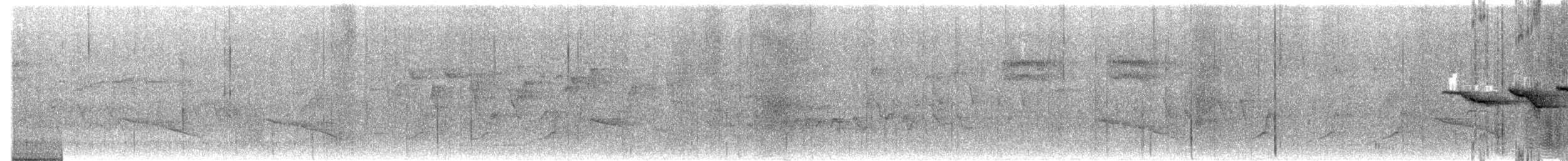 Swainson's Warbler - ML564886161