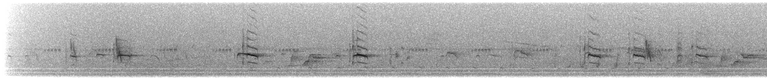 muskatnonne (nisoria gr.) - ML564969671