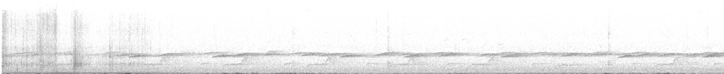 Schwarzkehl-Nachtschwalbe - ML564981421