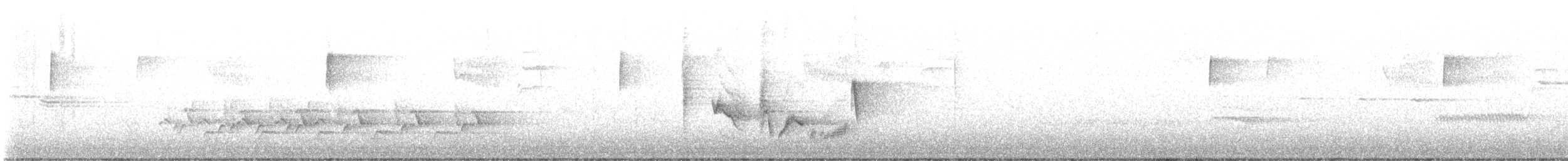 White-eyed Vireo - ML565002681