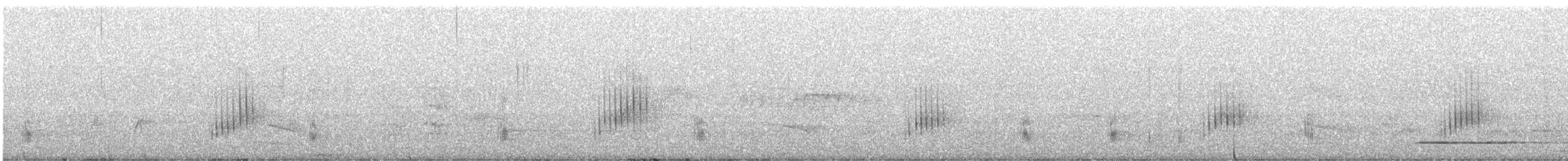 Thicket Tinamou - ML565010711