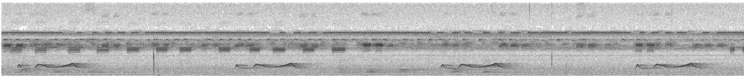 Belizenachtschwalbe - ML565061201