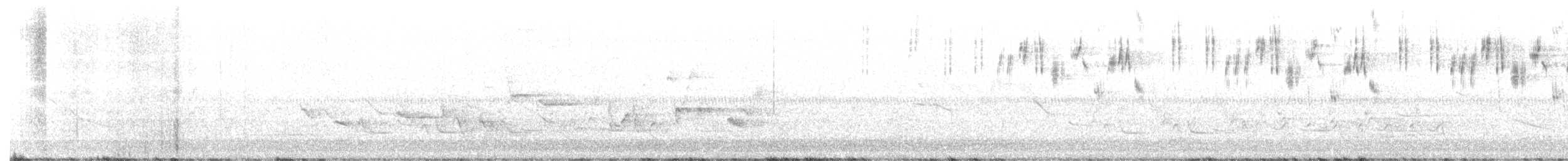 Northern Bobwhite - ML565089701