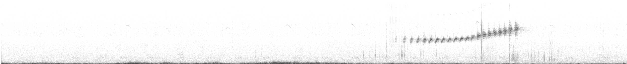 Prairie Warbler - ML565156081