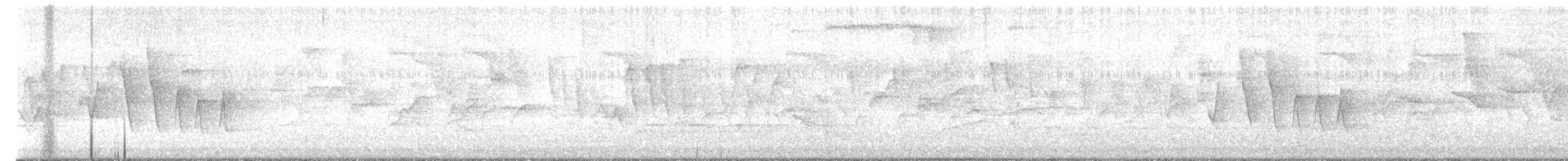 Northern Waterthrush - ML565182311