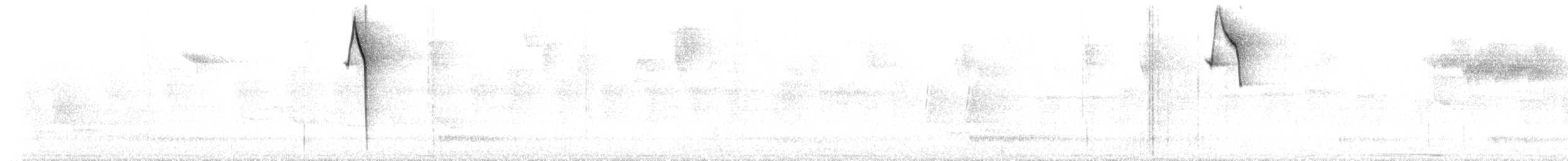 Orangequit - ML565186761