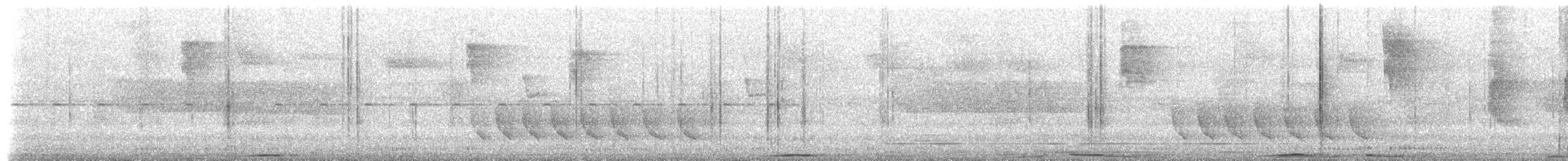 holub parukový - ML565210731