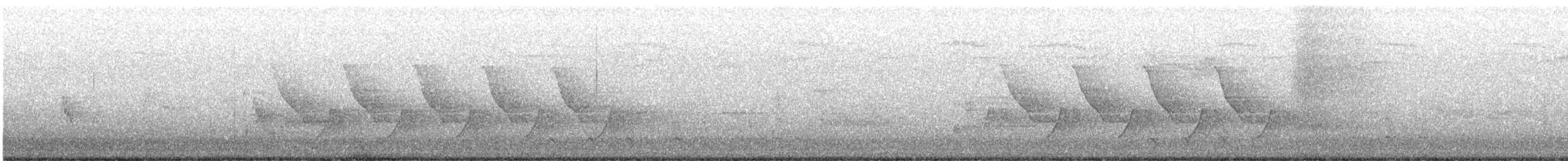 Каролинский крапивник - ML565243501