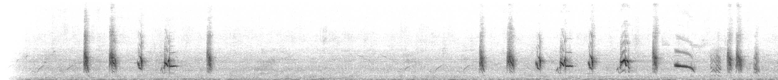 blåøreglansstær - ML56524831
