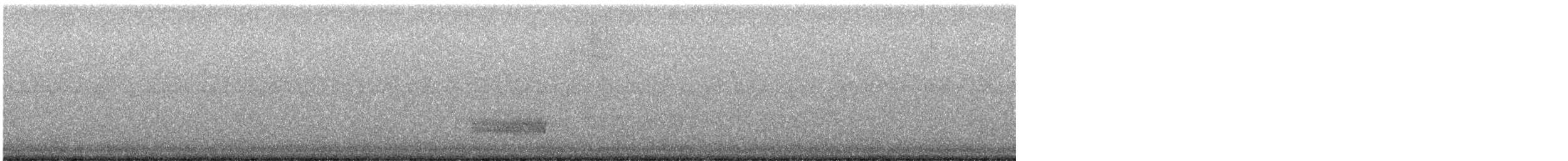 Сипуха крапчаста [група tuidara] - ML565318511