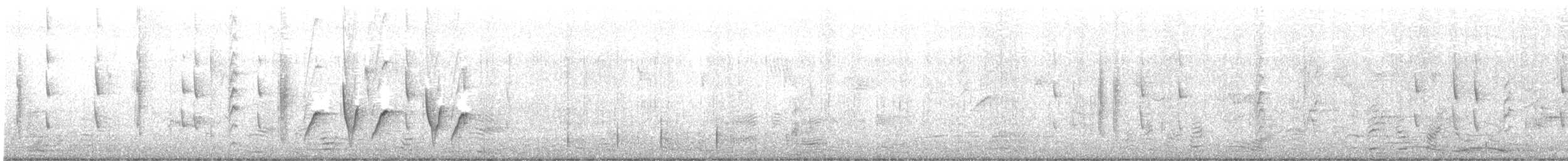 Ошейниковая веерохвостка - ML565325181