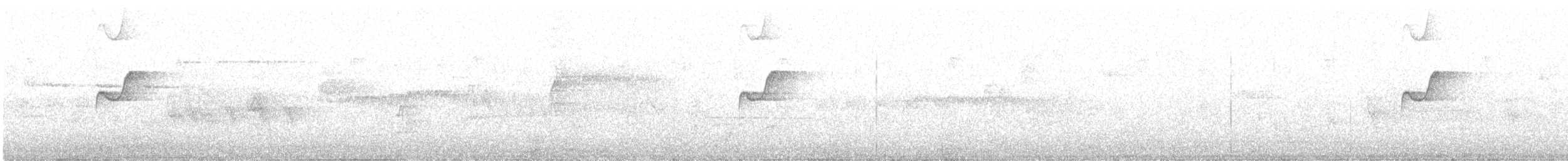 Western Flycatcher (Pacific-slope) - ML565331921