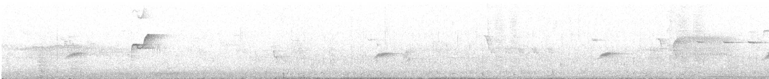 Hutton's Vireo - ML565331951