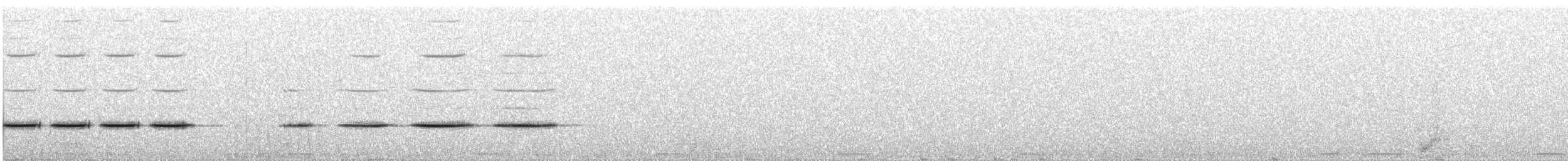 Ibis txoriandrea - ML565340181