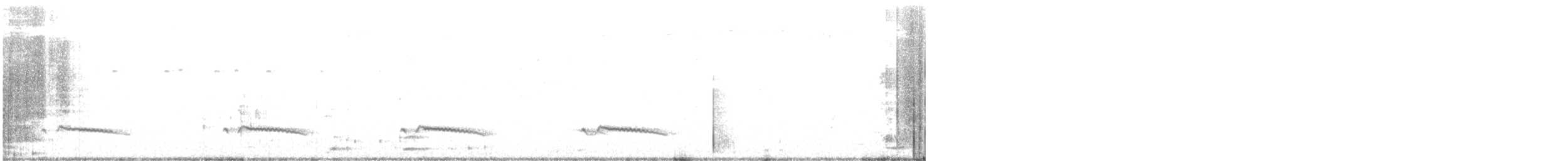 Gray-bellied Cuckoo - ML565343661