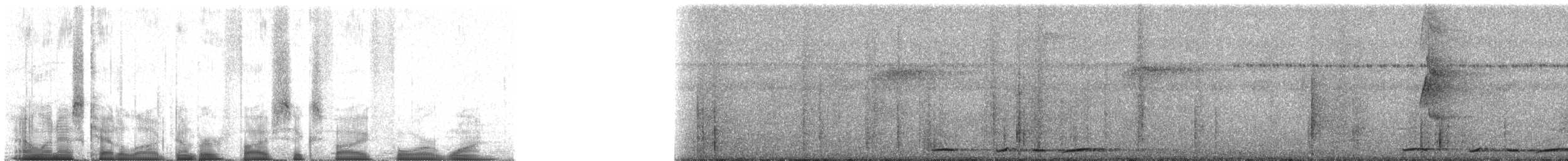 Kısa Gagalı Kızılca Güvercin - ML56541