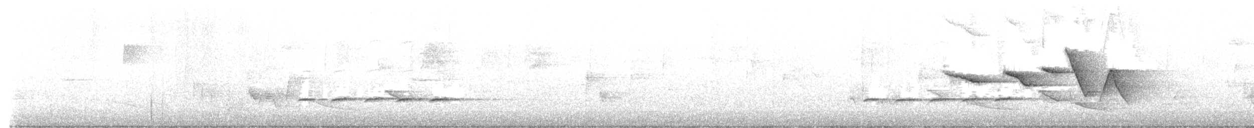 Swainson's Warbler - ML565422161