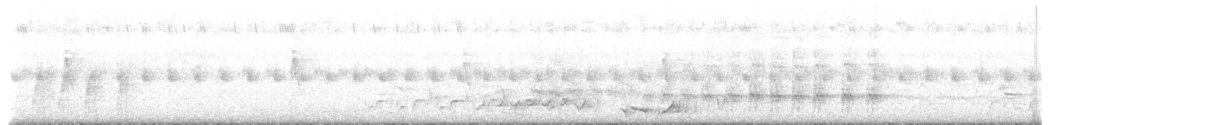 Beyaz Belli Şama [malabaricus grubu] - ML565425851
