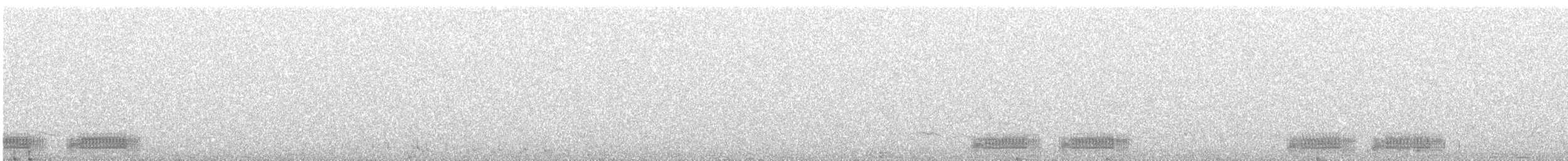 Corbeau brun - ML565433451