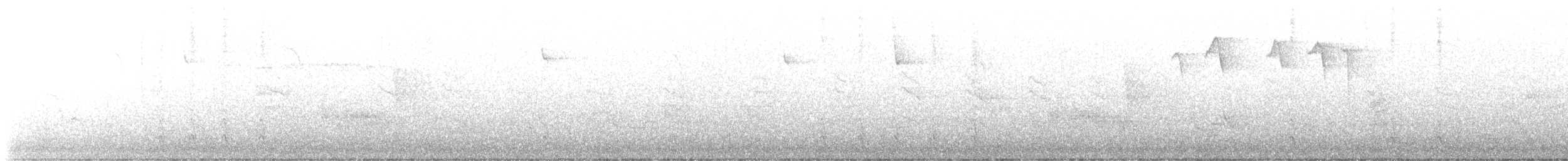 Дроздовый певун - ML565435311
